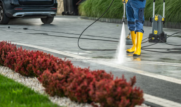 Best Animal Enclosure Cleaning  in Jamestown, NY