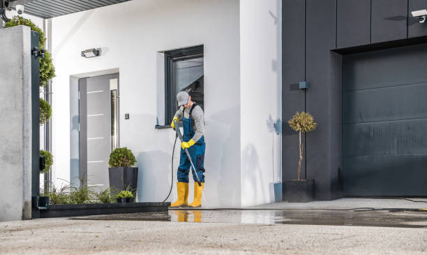 Best Paint Preparation  in Jamestown, NY